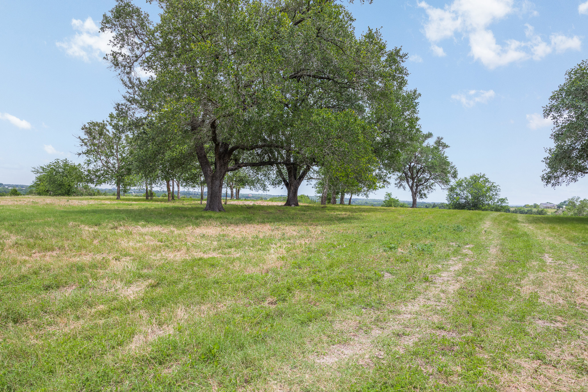 Winding path through oaks at The Clearing