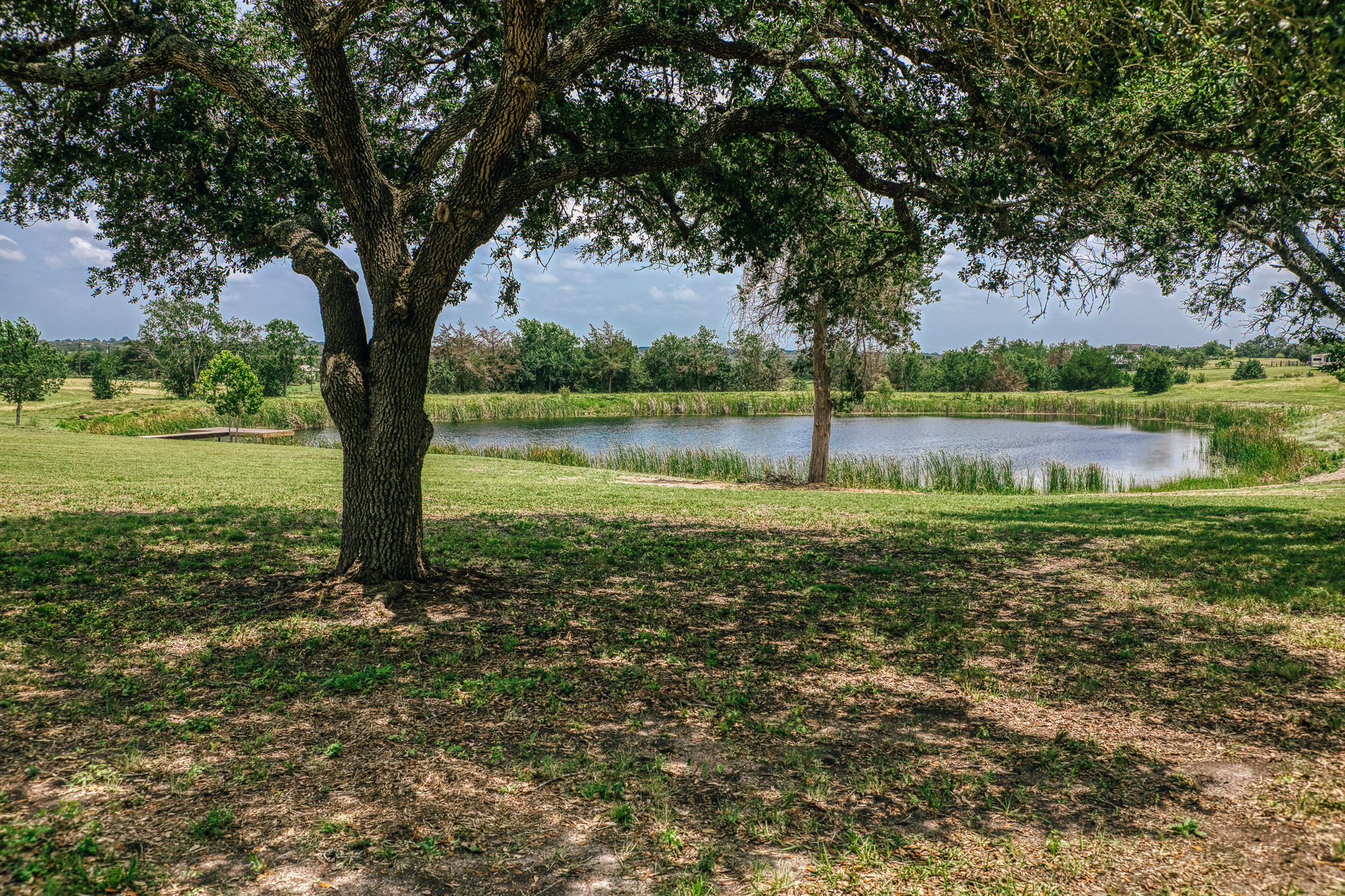 Large live oak framing pond with dock at Lot 3
