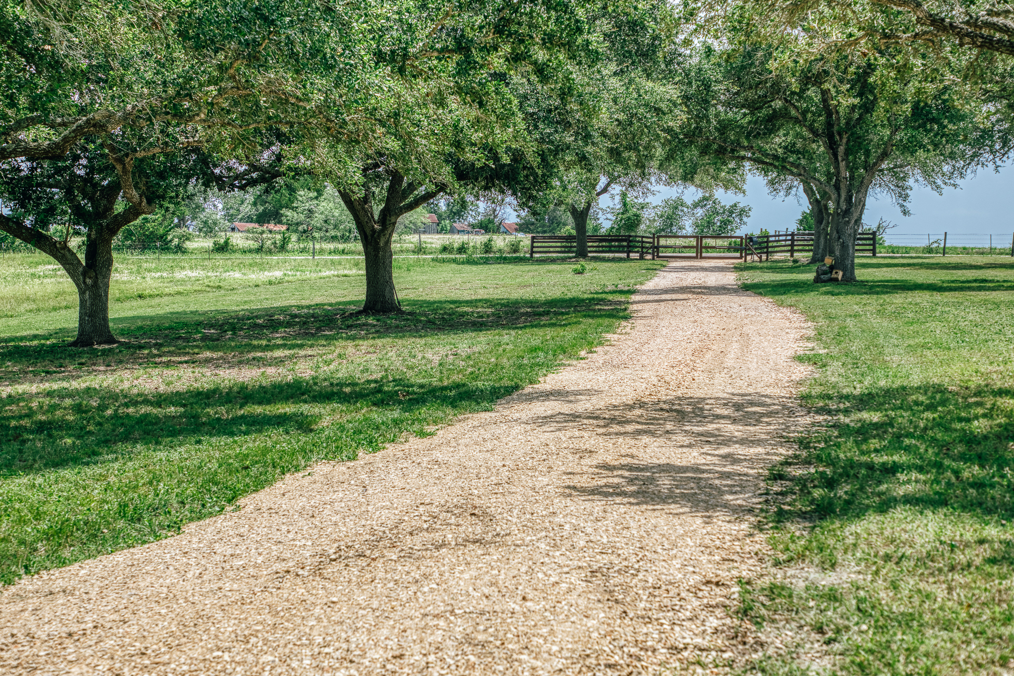 Lot 2 — open pasture and live oaks at The Clearing