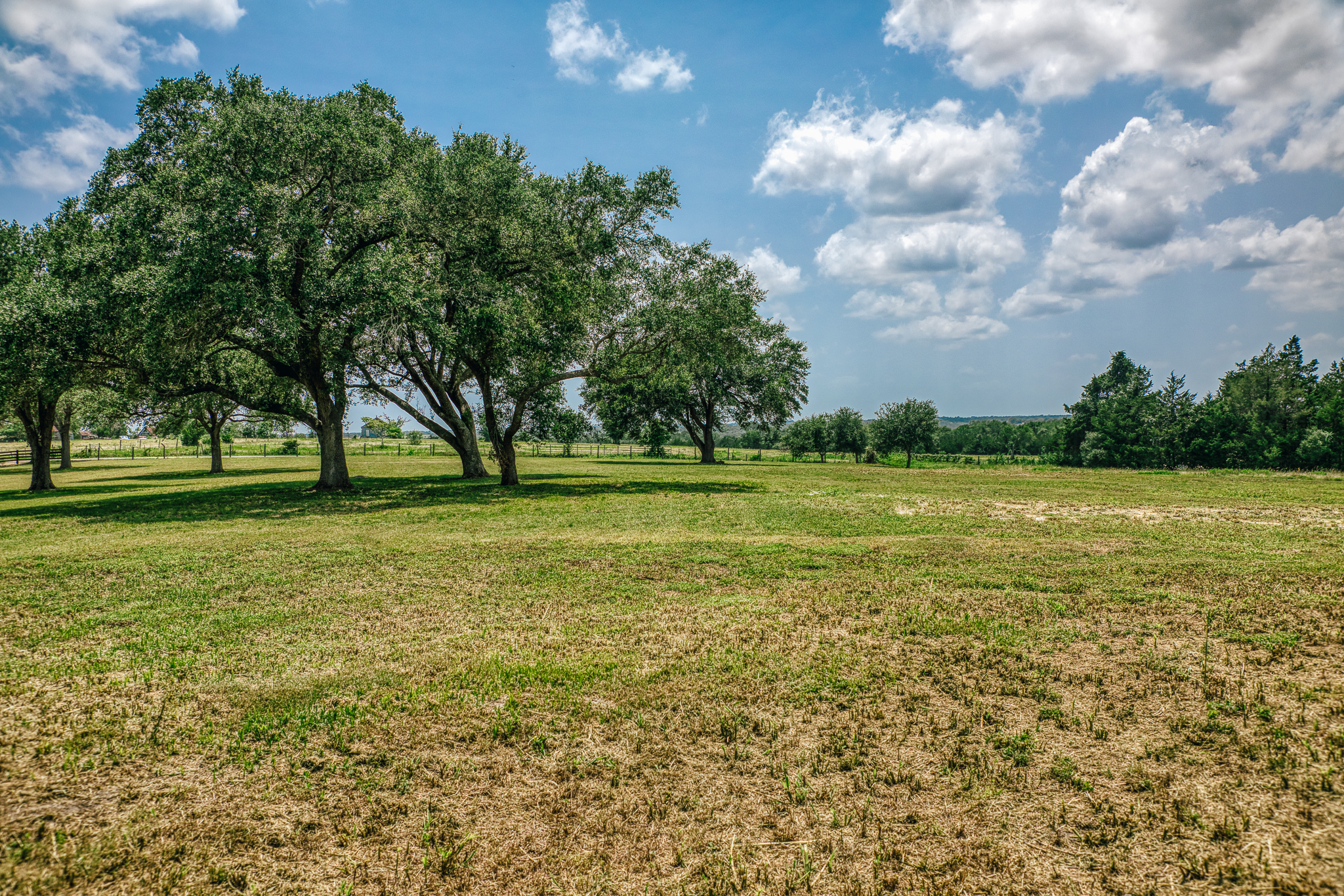Pond viewed between two large oaks at Lot 3
