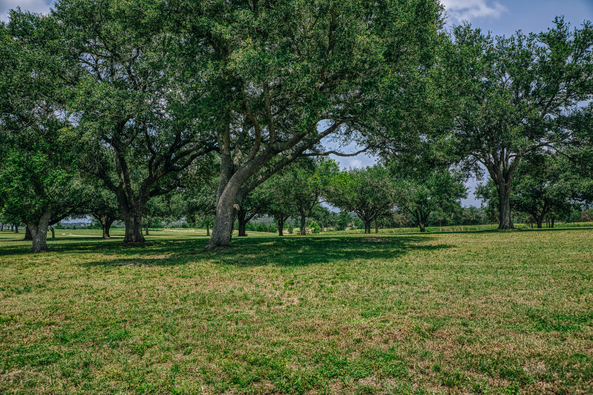 Oak grove at Lot 4