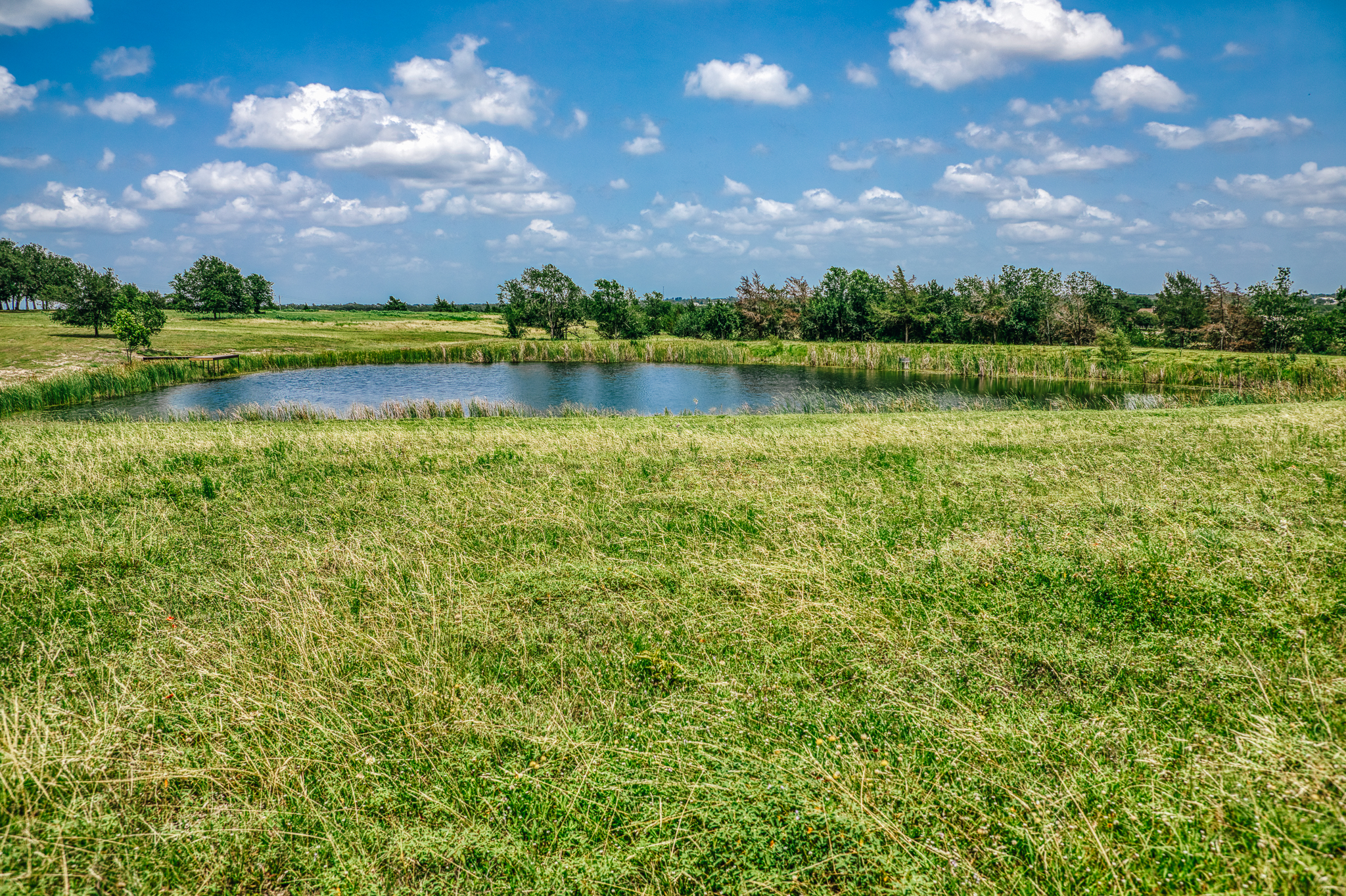 Wide pond with dock, rolling hills, and oaks at Lot 3 — The Clearing