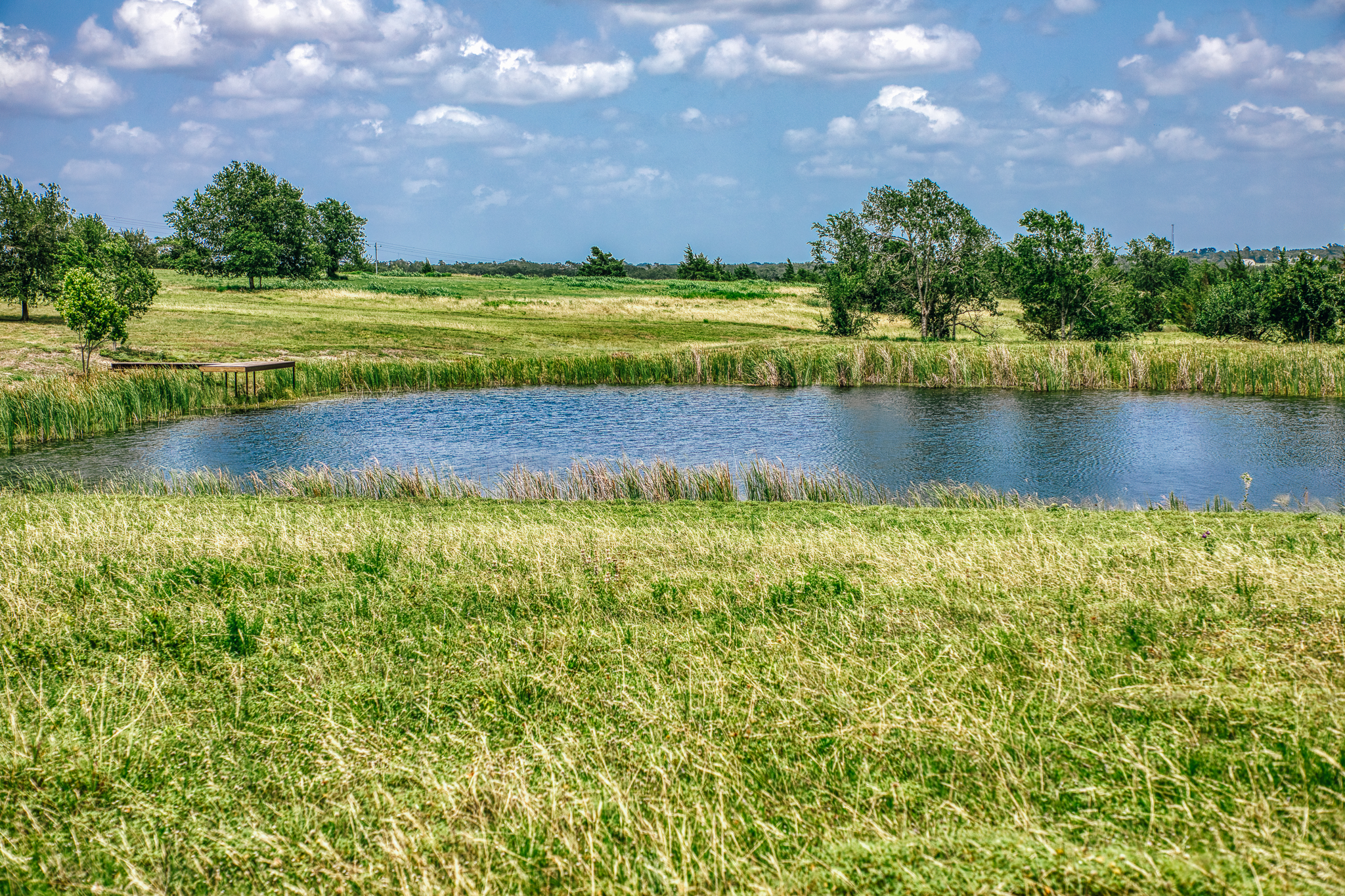 Oaks and water at Lot 3