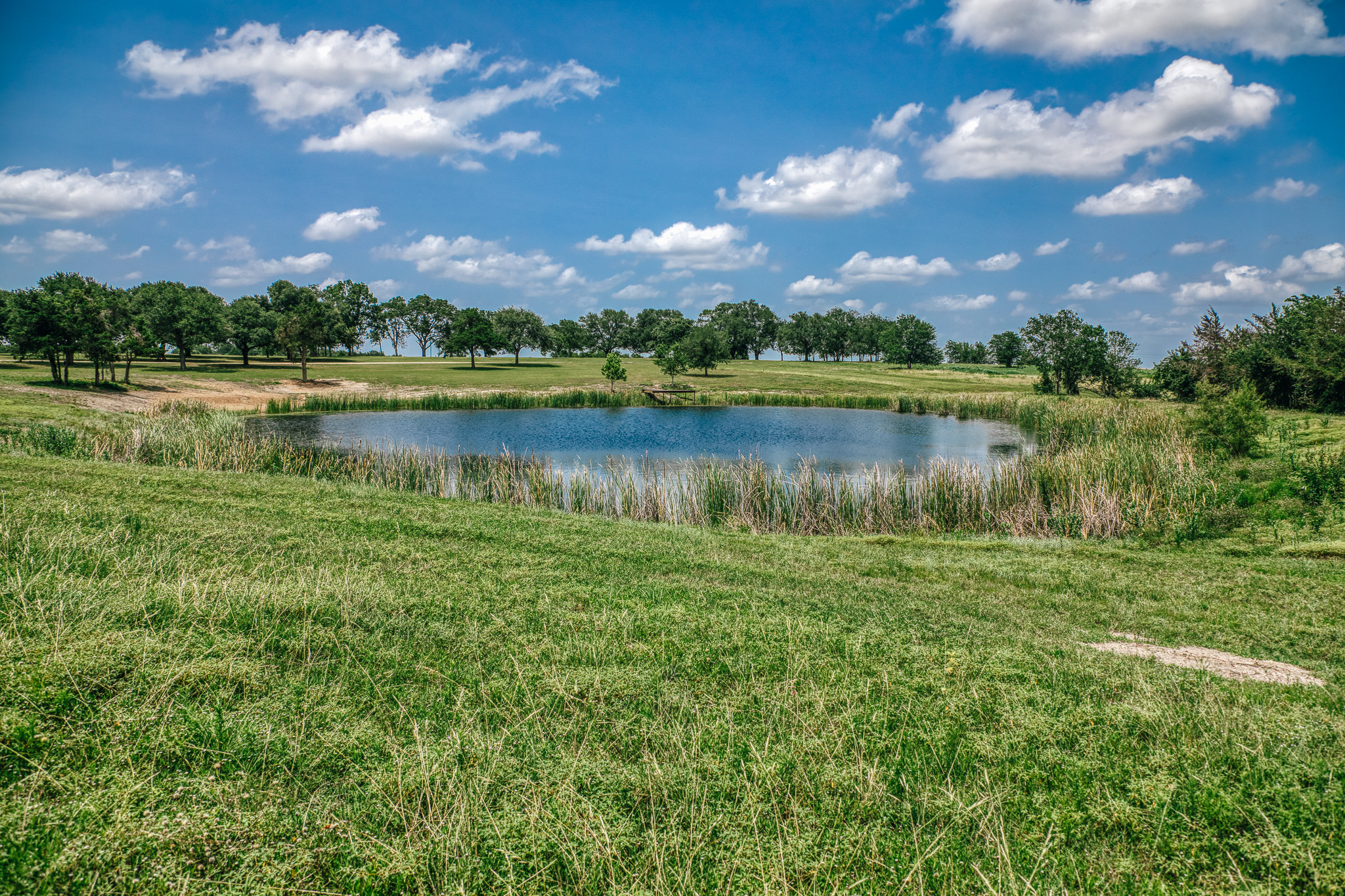 Native landscape at Lot 2