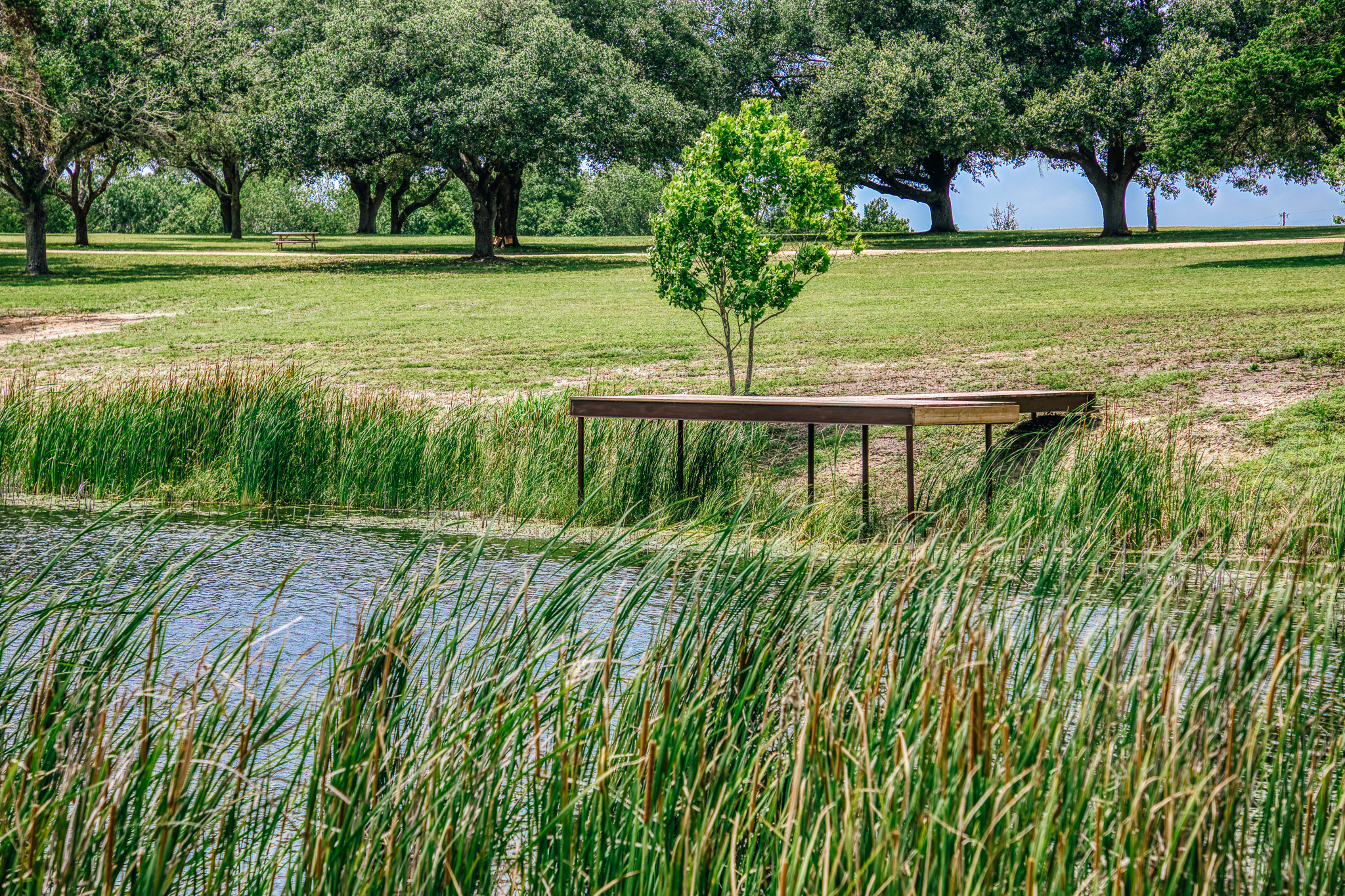 Dock close-up and reflection at Lot 3