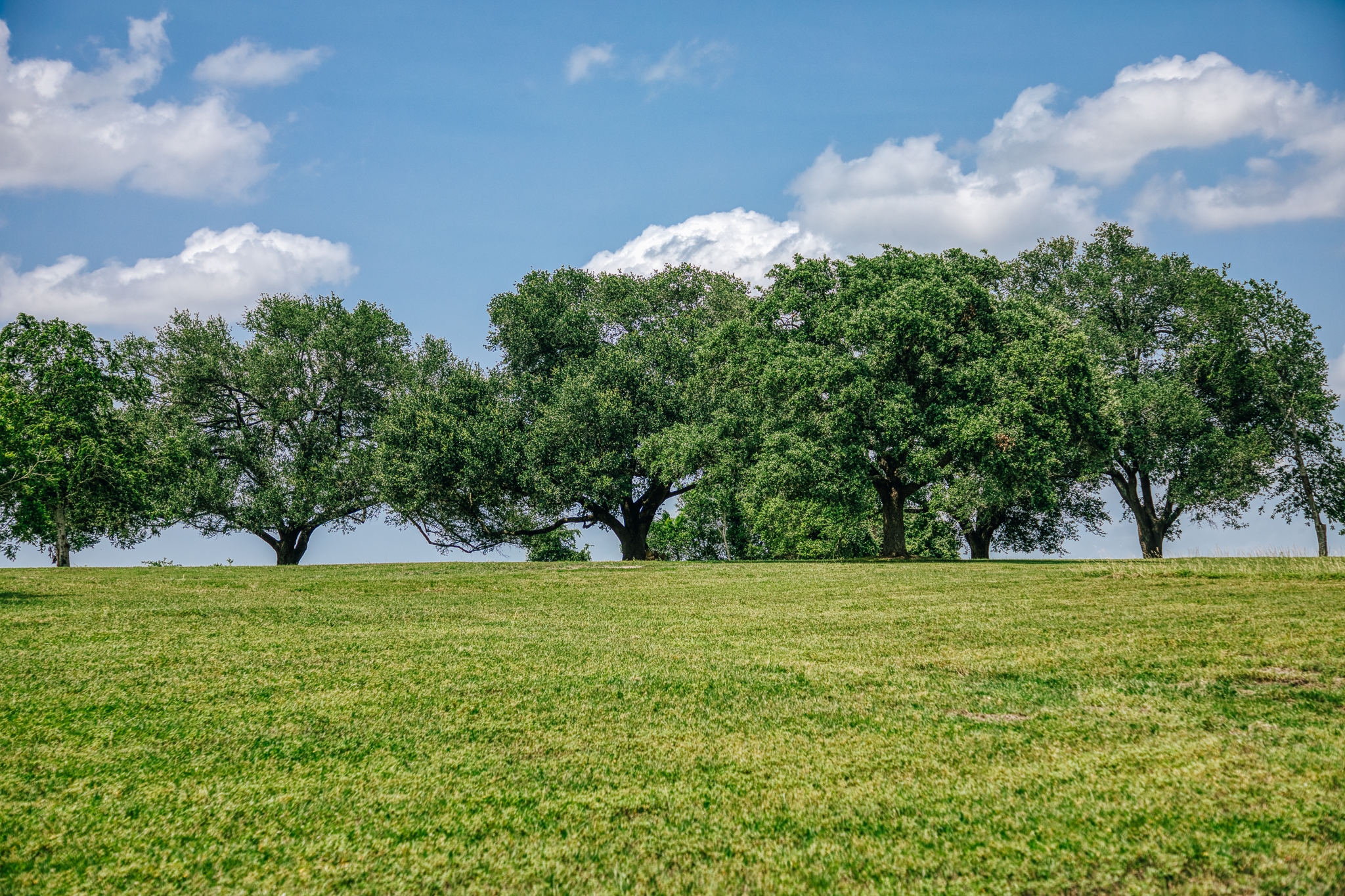 Wide open pond at Lot 1