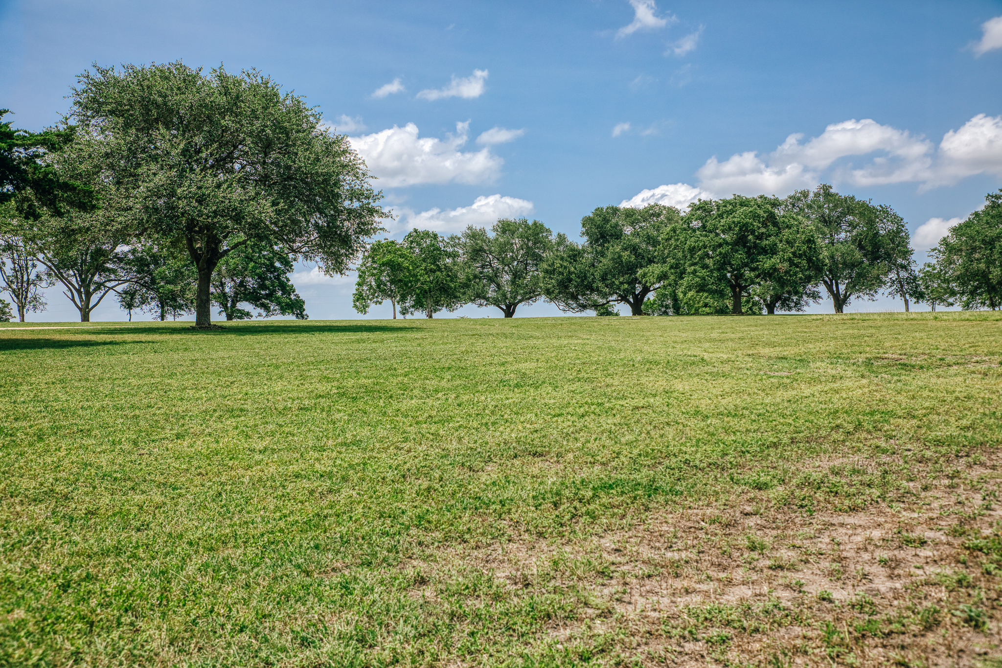 Pond views at Lot 2